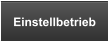Einstellbetrieb