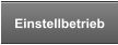 Einstellbetrieb