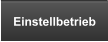 Einstellbetrieb