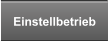 Einstellbetrieb