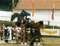 GP Sachendorf