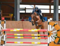 CSI ** Steinbrecher